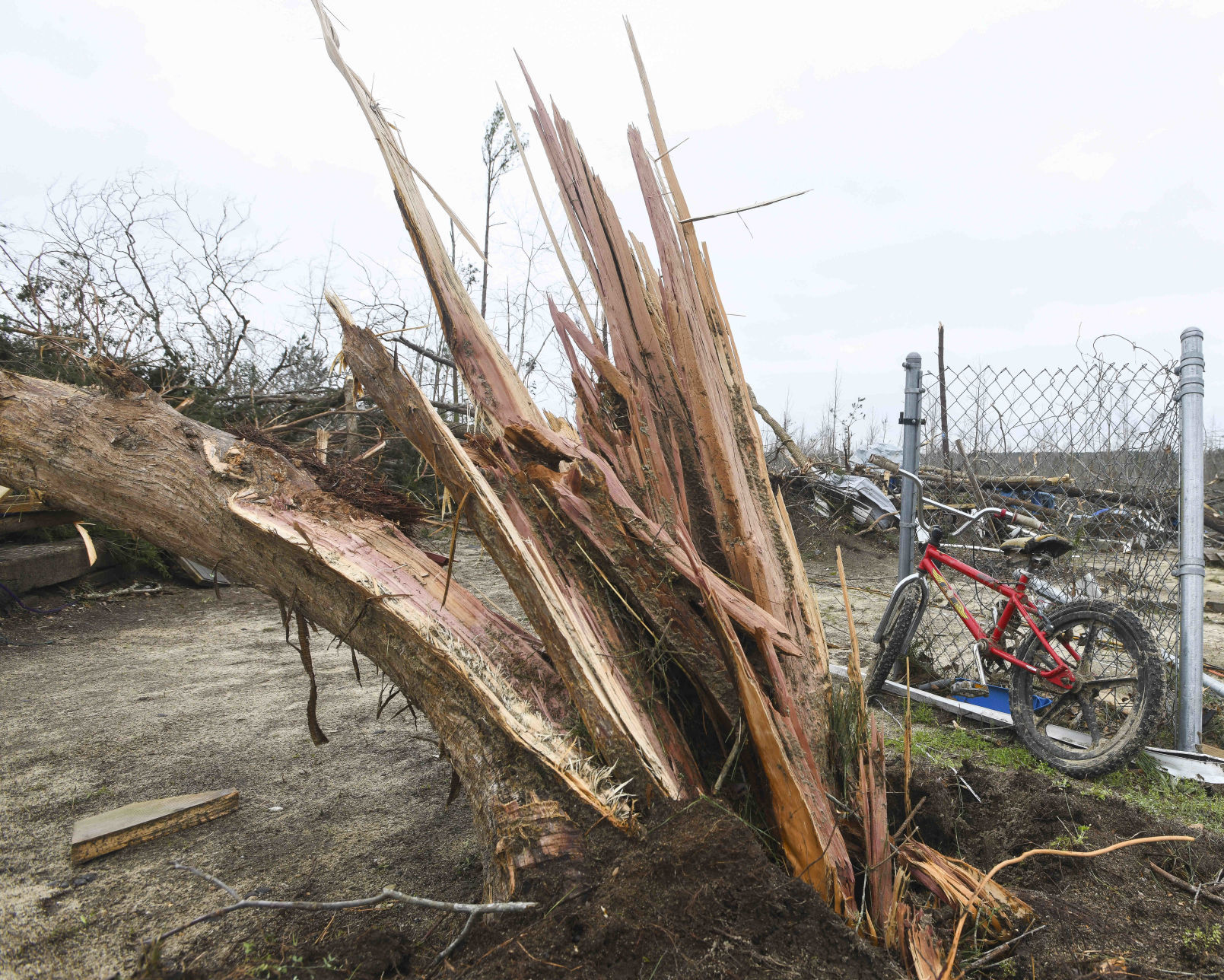Deep South Severe Weather